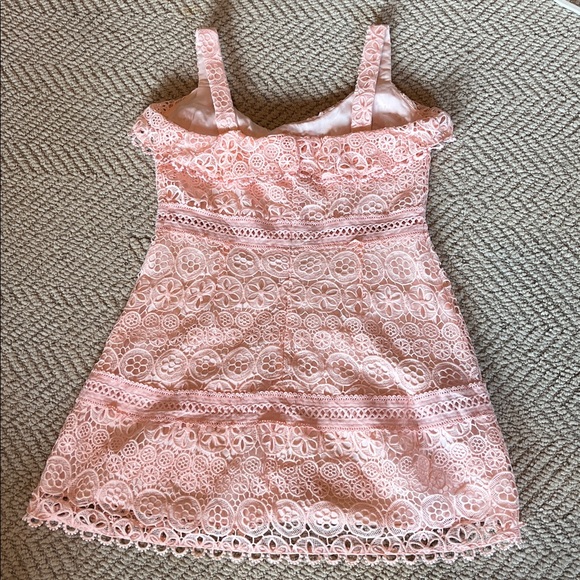 Lovers + Friends Revolve Blush Pink Lace Happy Hour Mini dress, size X-Large - Picture 6 of 9